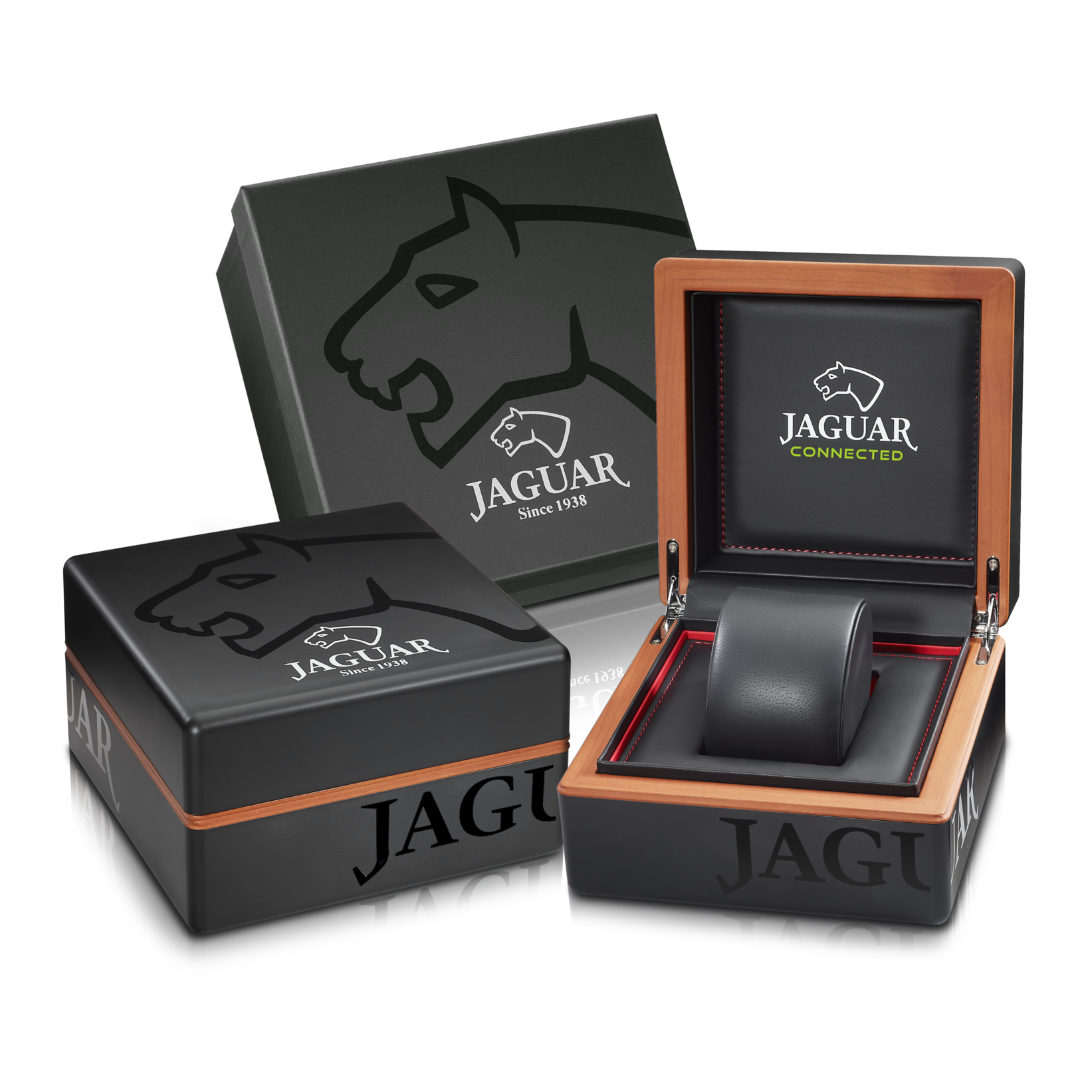 JAGUAR CONNECTED DIVER