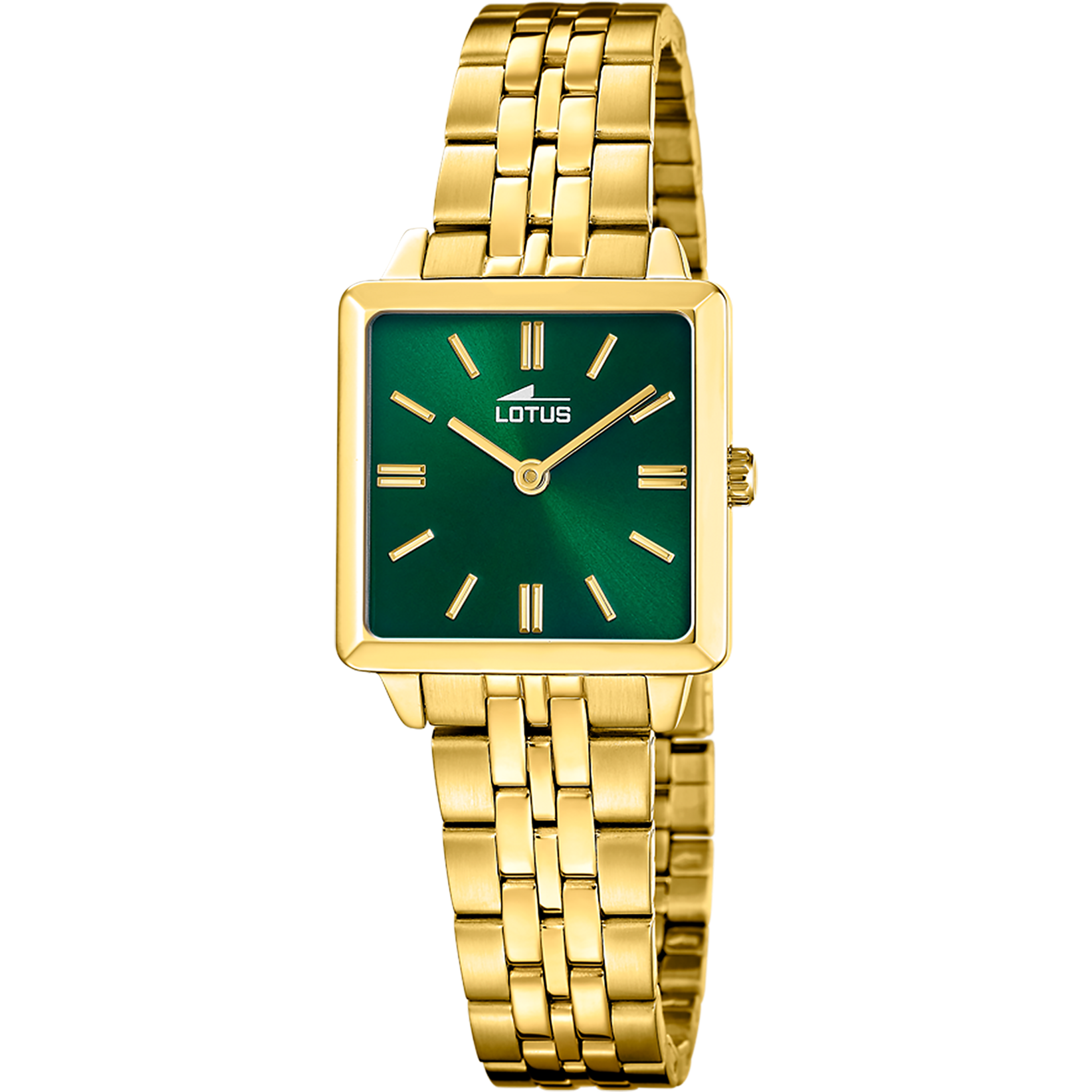 LOTUS OLD MONEY GAVESÆT